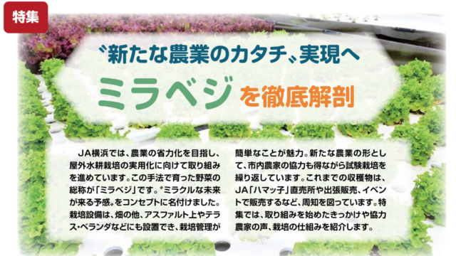 水耕栽培に挑戦！「Agri横浜」に掲載されました。
