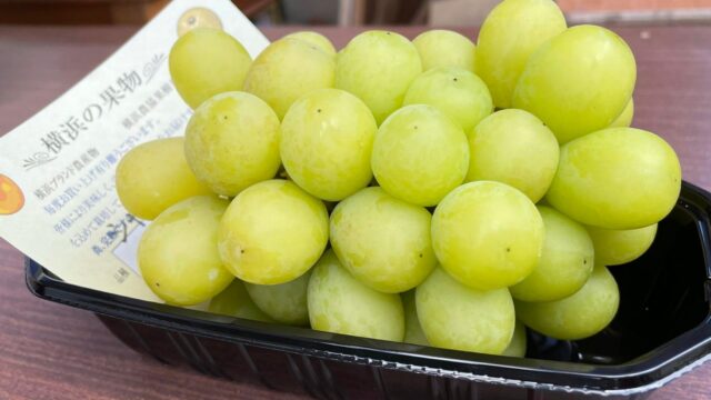 「かじや園」シャインマスカットの販売を始めました。
