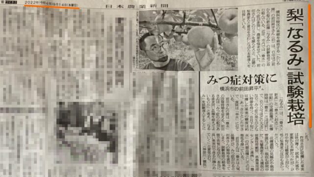 日本農業新聞に「かじや園」前田昇平の記事が掲載されました！