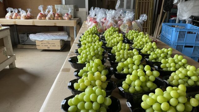 「かじや園」臨時直売のお知らせ