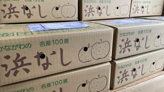 浜なし・浜ぶどう 発送受付開始のご案内
